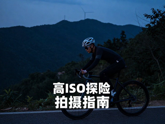 后期处理与画质优化