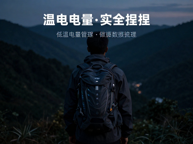 数据安全与后期预处理流程