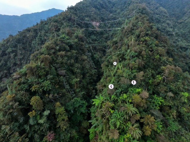 基于频率分离的山林细节重塑