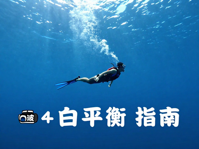 白平衡策略与色彩还原逻辑
