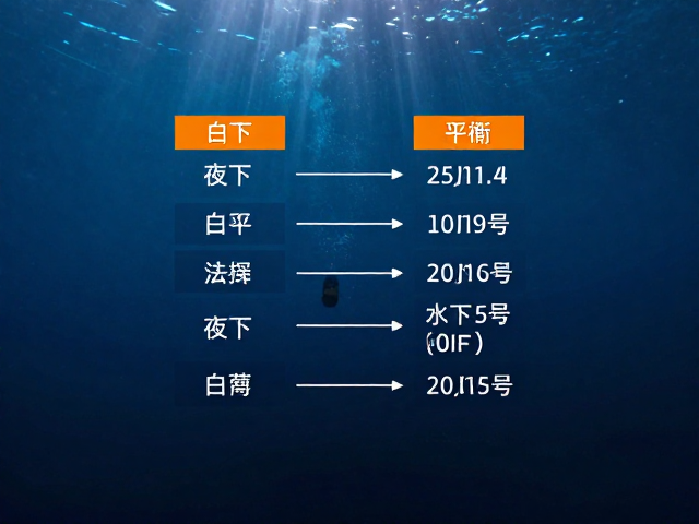 实战操作流程与参数参考