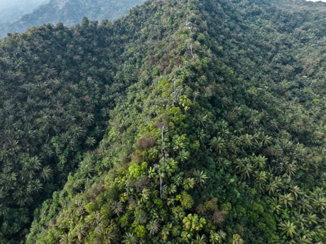 山林风景中高频细节的局部增强策略