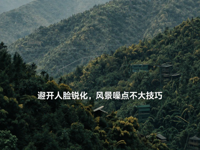 风景画面噪点抑制与细节保留
