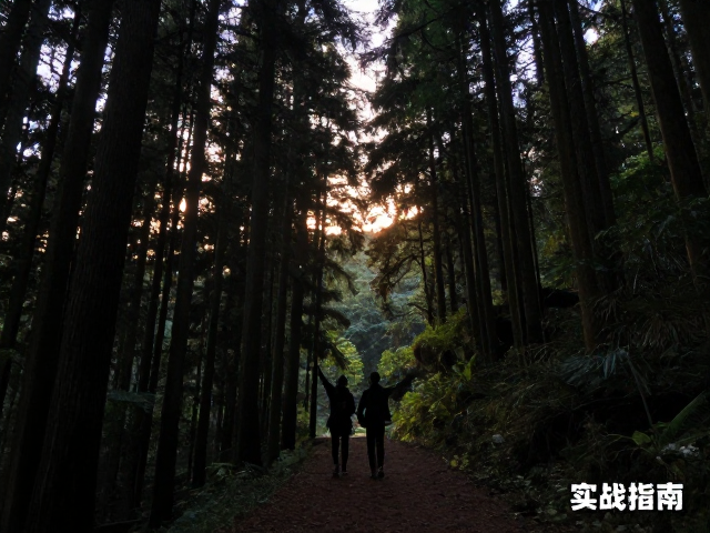 傍晚山林暗光拍摄技巧,森林穿越户外旅行博主实战指南