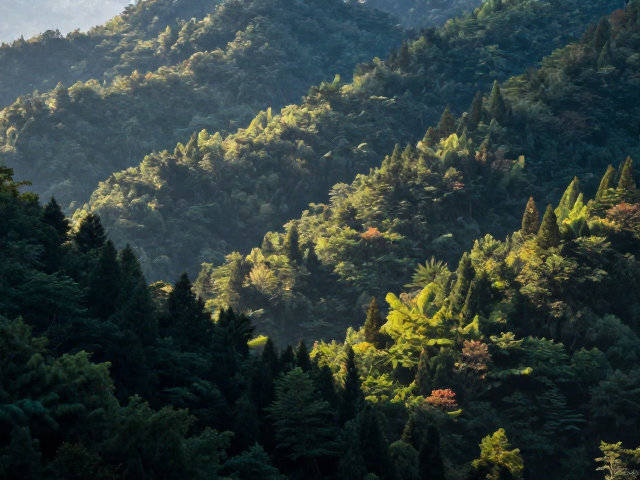 山林风景的光影特性与锐化难点