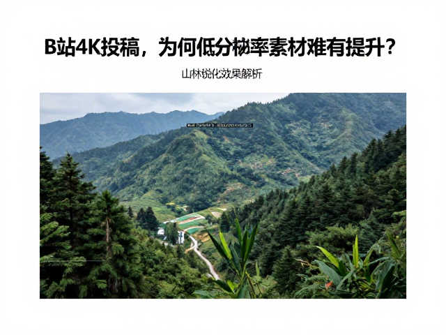 编码器的码率分配机制