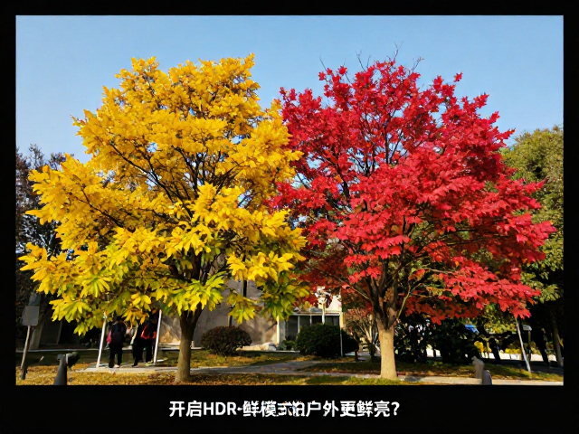 开启HDR和鲜艳模式拍户外更鲜亮?24fps电影感画面设置指南