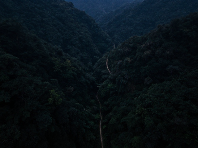 暗光模式拍傍晚山林,森林穿越冒险探索实录