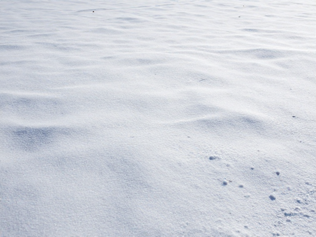 雪地环境下的白平衡校准策略