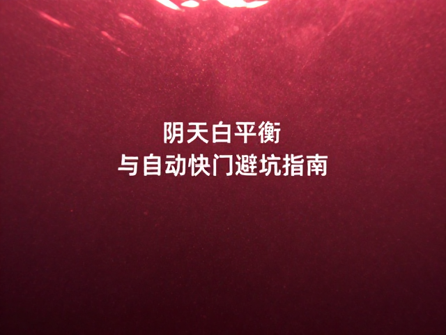 水下拍摄关闭畸变加红滤镜？阴天白平衡与自动快门避坑指南