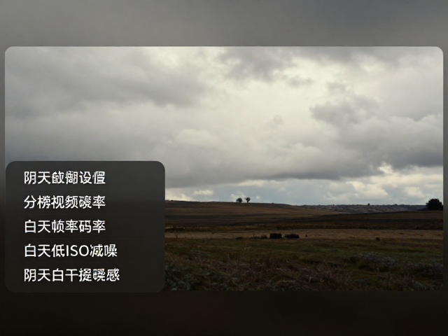 阴天环境下的白平衡调整与色彩氛围