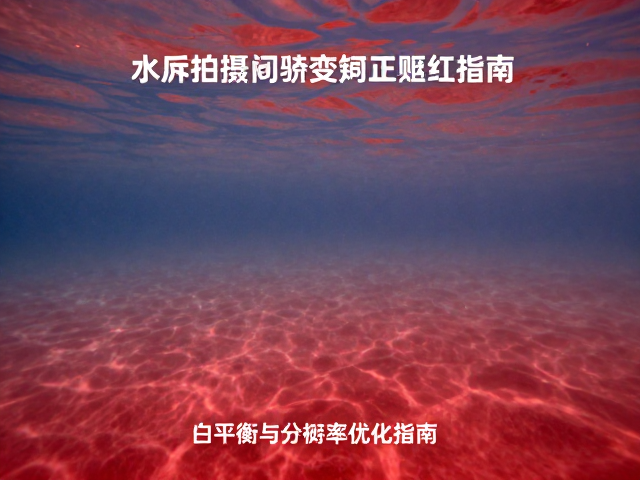 白平衡设置的实战策略与参数调整