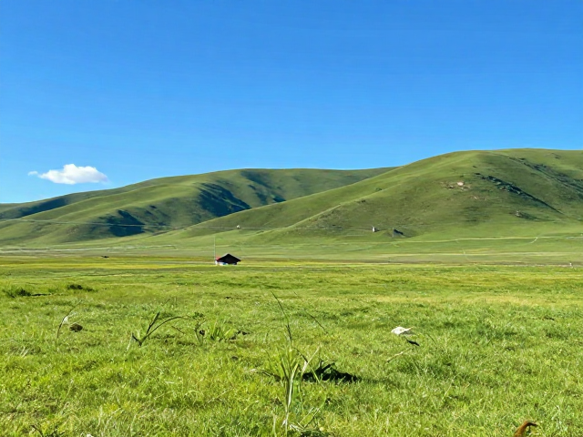 剪映教程,固定白平衡拍摄,提高饱和度,一键还原风景鲜艳色彩