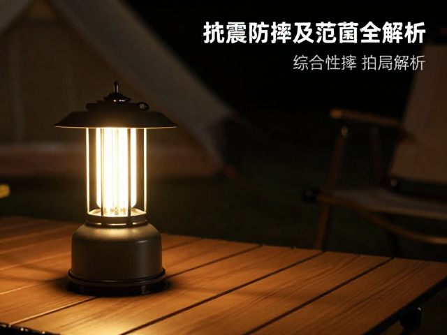 综合性能分析与拍摄建议