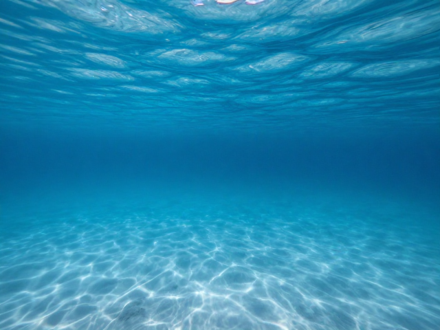 浅海环境的白平衡校正策略