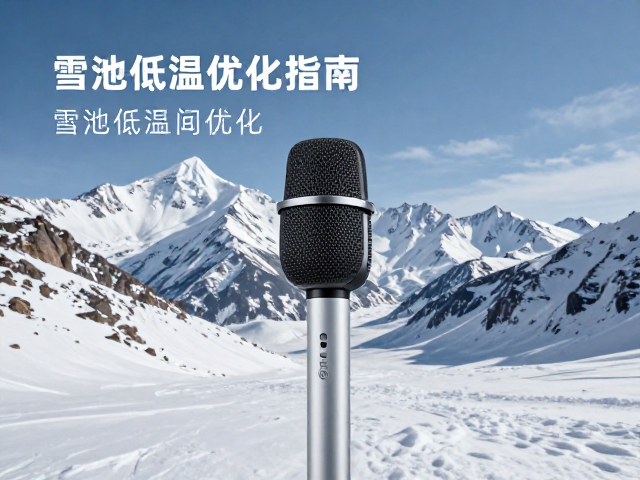 雪山冬季用车指南,电池低温优化,语音控制与外接麦克风全解析