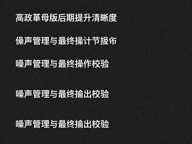 噪声管理与最终输出校验