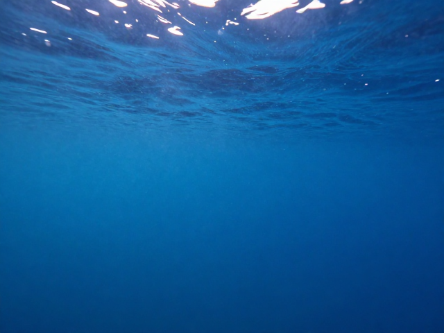 水下滤镜优化海水偏蓝？地平线校正，色彩还原攻略