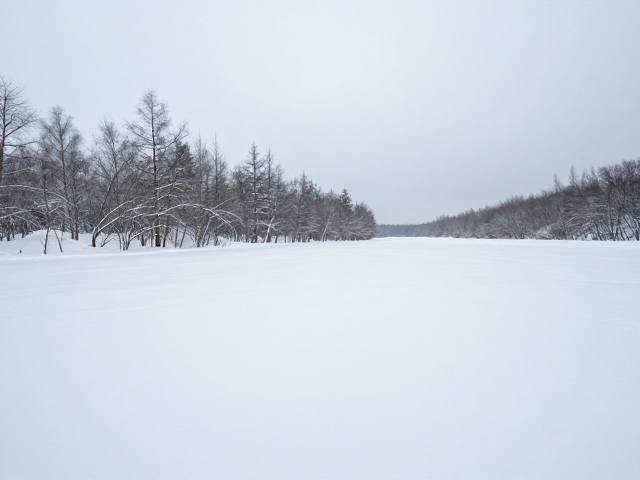 全景相机后期自由调角度,超广角,防雪防冻全场景拍摄指南