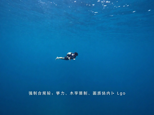 码率控制策略与画质优化实践