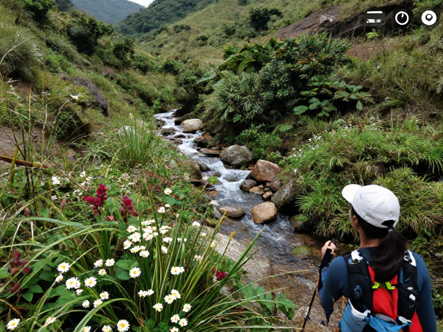 登山玩家眼中的花草溪流