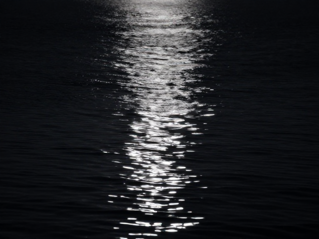 低风速夜景倒影,极简留白构图,打造高级感摄影大片