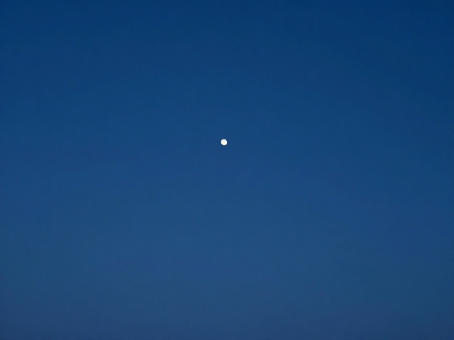 手机摄影入门,简易调色,基础曝光,轻松拍出高级蓝调夜景