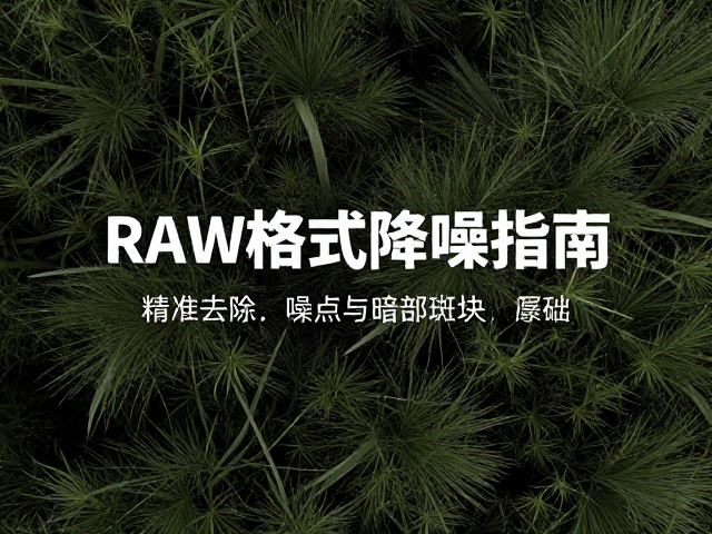 RAW格式降噪指南,精准去除噪点与暗部斑块,还原纯净画质