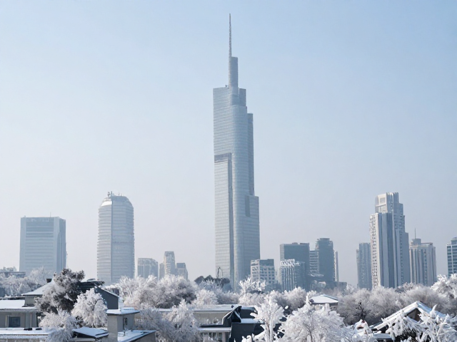 临海机位攻略，冬季雾凇雪景打卡地标摩天大楼