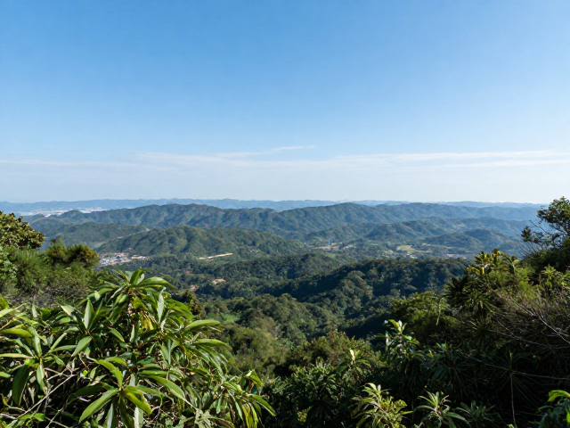 全景机位视野无遮挡,透视压缩让风景更震撼