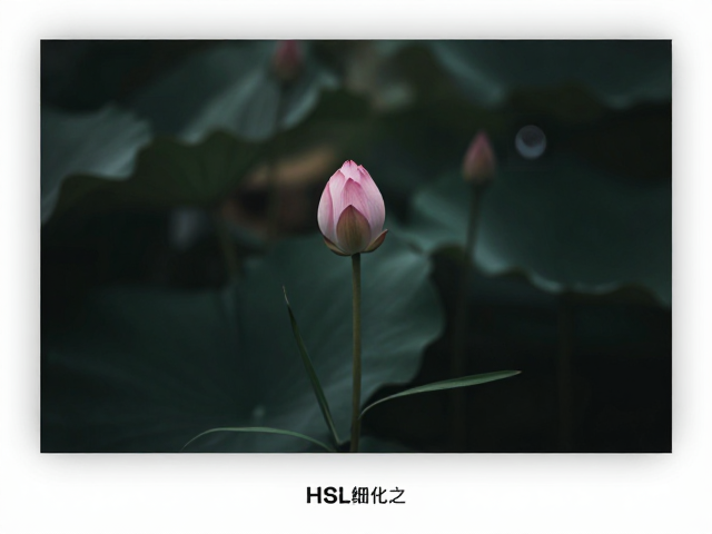 精准控制色彩,HSL工具的深层运用