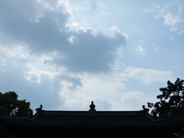 随手拍的大片质感