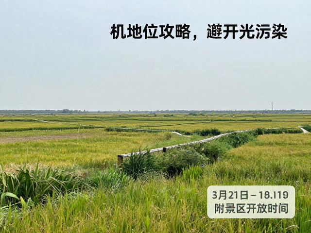 湿地机位攻略,避开光污染,附景区开放时间