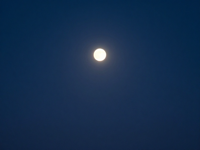 极简夜景霓虹点光源,打造神秘氛围的灯光设计指南