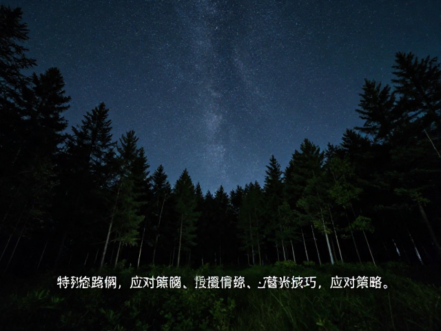 森林环境下的特殊拍摄难点与应对策略