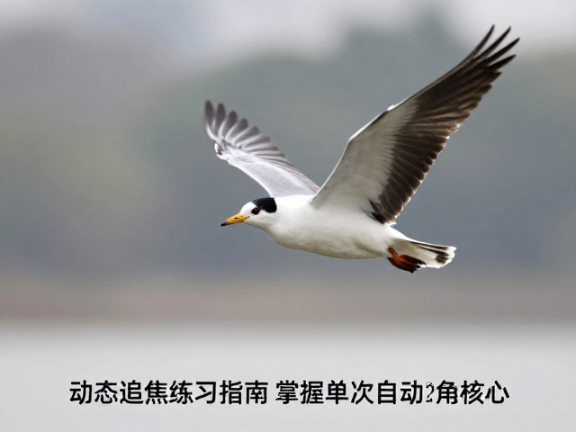 曝光补偿与快门速度的平衡法则