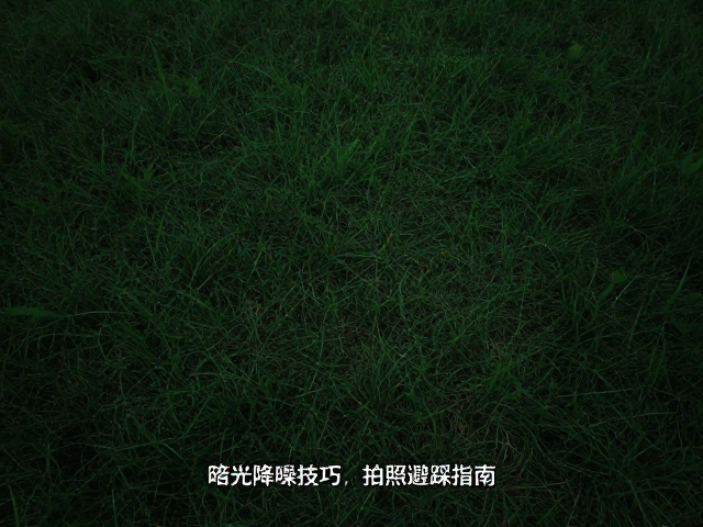 暗光拍摄降噪技巧，草地拍照避踩指南