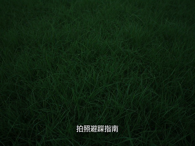 曝光策略与机身内设置优化