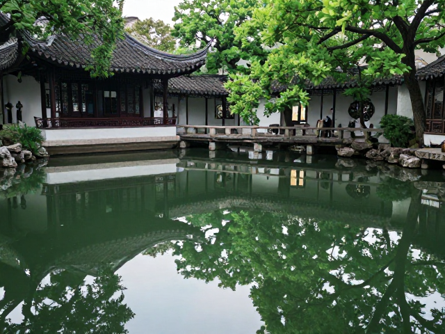 框景构图:利用自然元素增加画面故事感