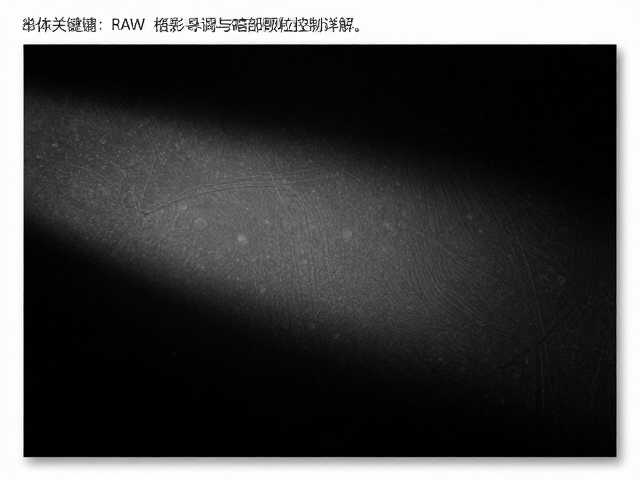RAW格式导入技巧，光影微调与暗部颗粒控制详解