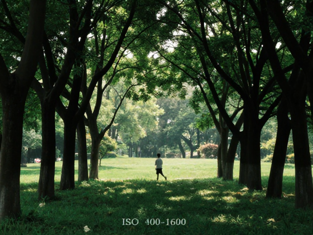 ISO 400-1600感光设置,掌握曝光三角平衡,拍出清晰大片
