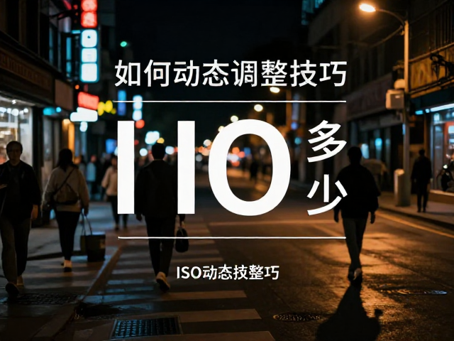 实战场景下的ISO动态调整技巧