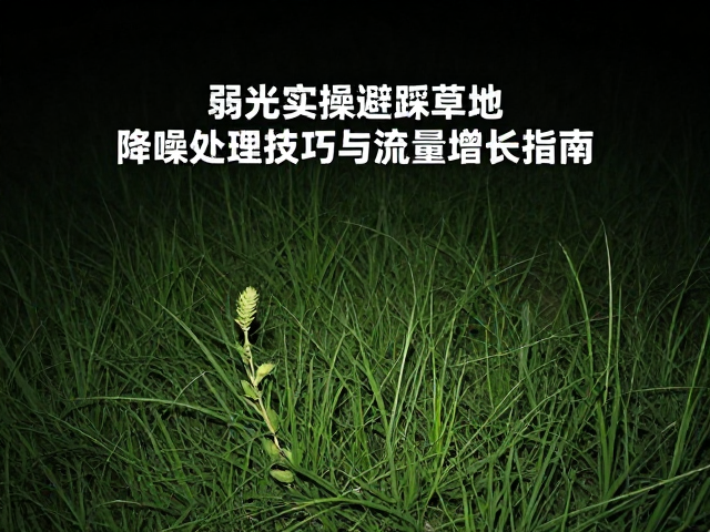 弱光实操避踩草地，降噪处理技巧与流量增长指南