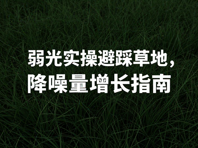 弱光题材的流量获取与内容分发