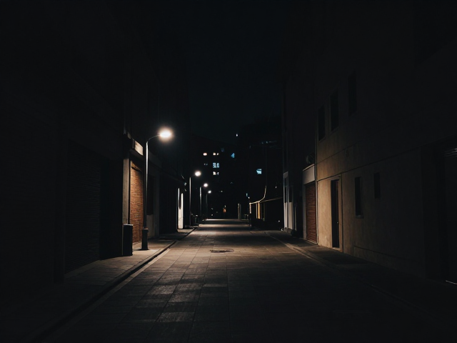 场景选择与视觉引导的构建策略