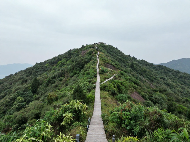 安全准则与无痕山林