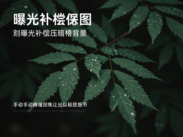 摄影干货,利用曝光补偿压暗背景,配合手动峰值对焦拍出极致细节