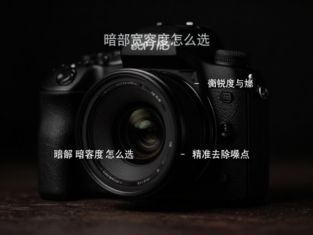 暗部宽容度怎么选?平衡锐度与质感,精准去除噪点提升画质