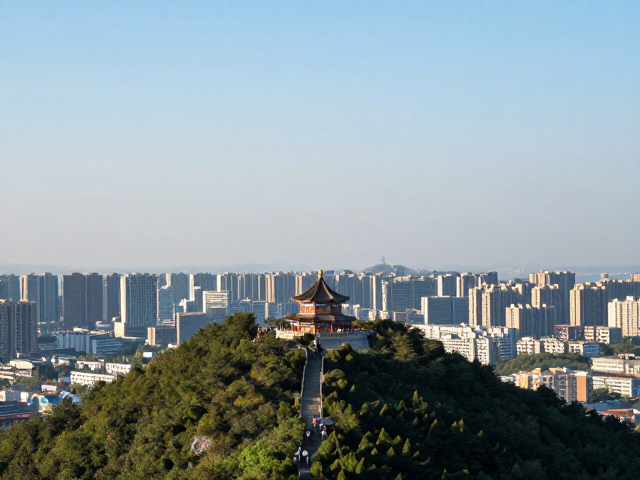 光线条件与最佳拍摄时段的锁定
