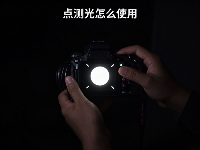 实战中的测光点选择与构图关联